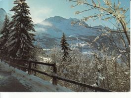 Wengen 1988