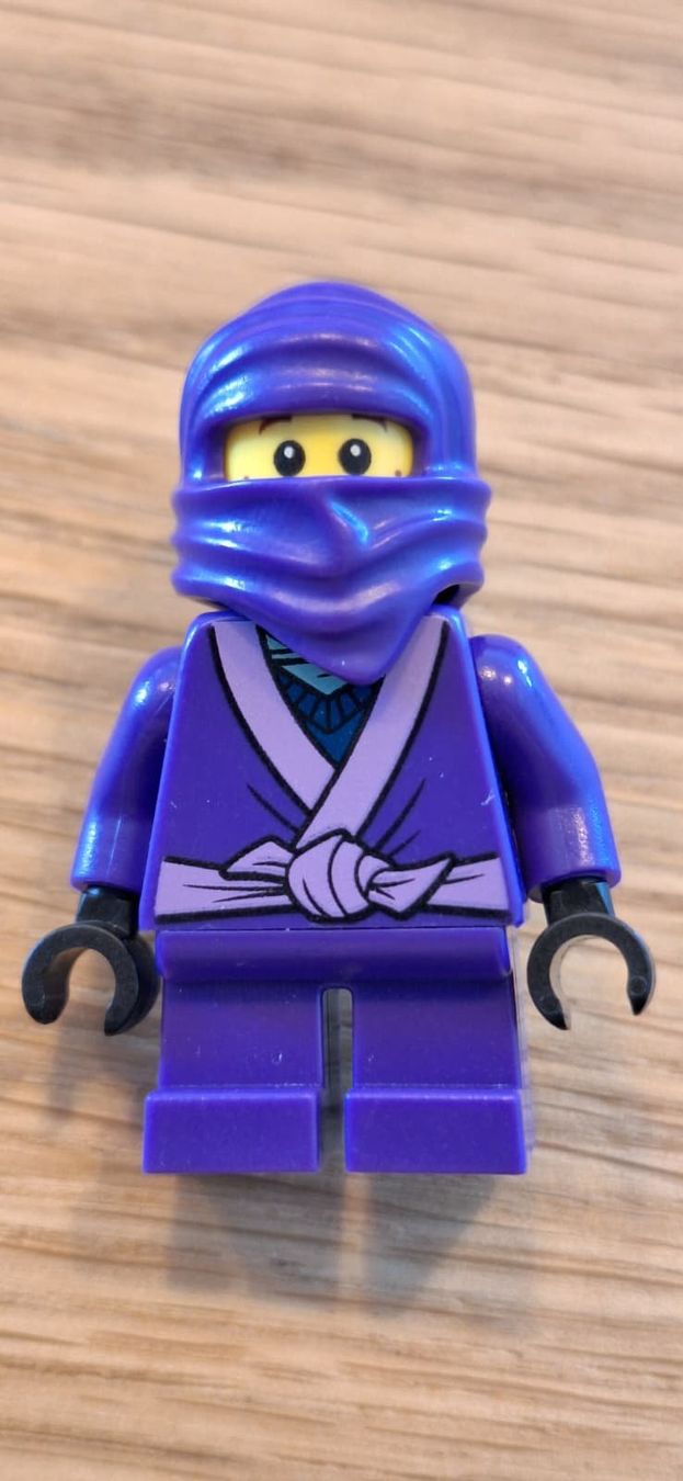 Lego Giocattoli: Lego Ninjago Lil Nelson – Usato da Egnach venduto da sea_2zvc