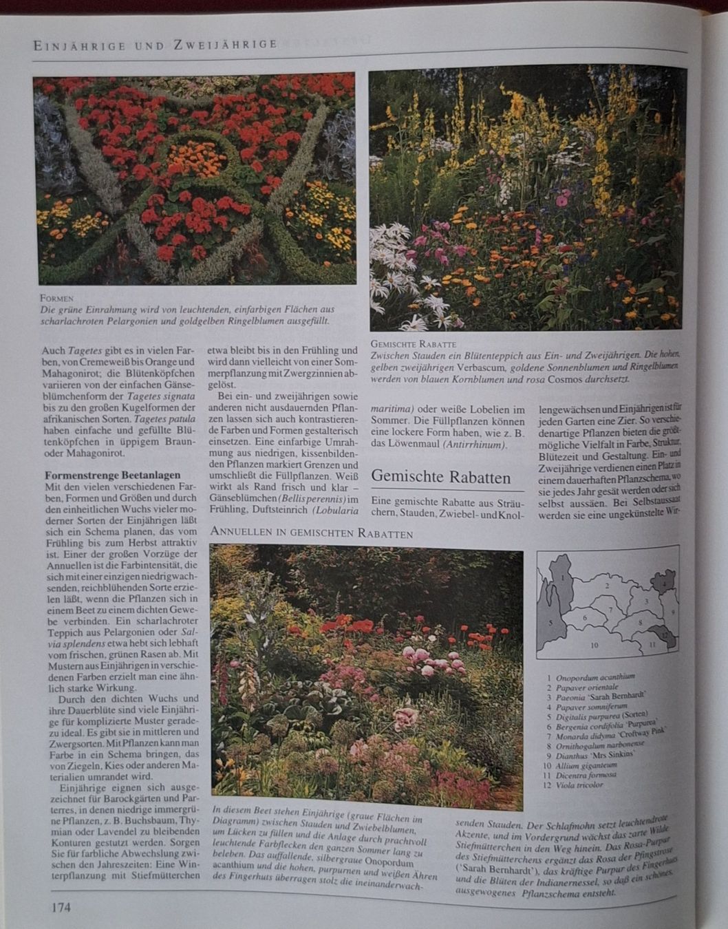 Libri: Buch Garten Enzyklopädie Dumont1994 – Usato da Oberriet SG venduto da Atir47 4