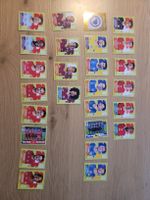 Panini world cup 2026