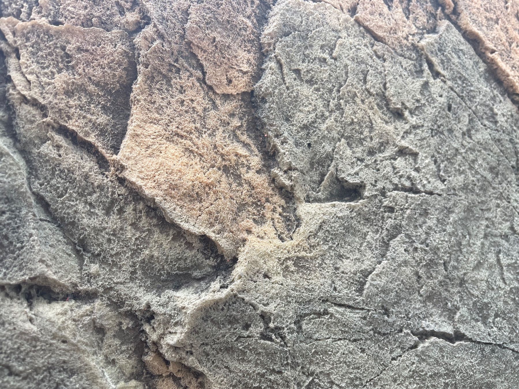 Alle Dekorationen: Back to Nature SlimLine Basalt/Gneiss 3D - 60A – Neu (gemäss Beschreibung) aus Uzwil von Moni4213 3