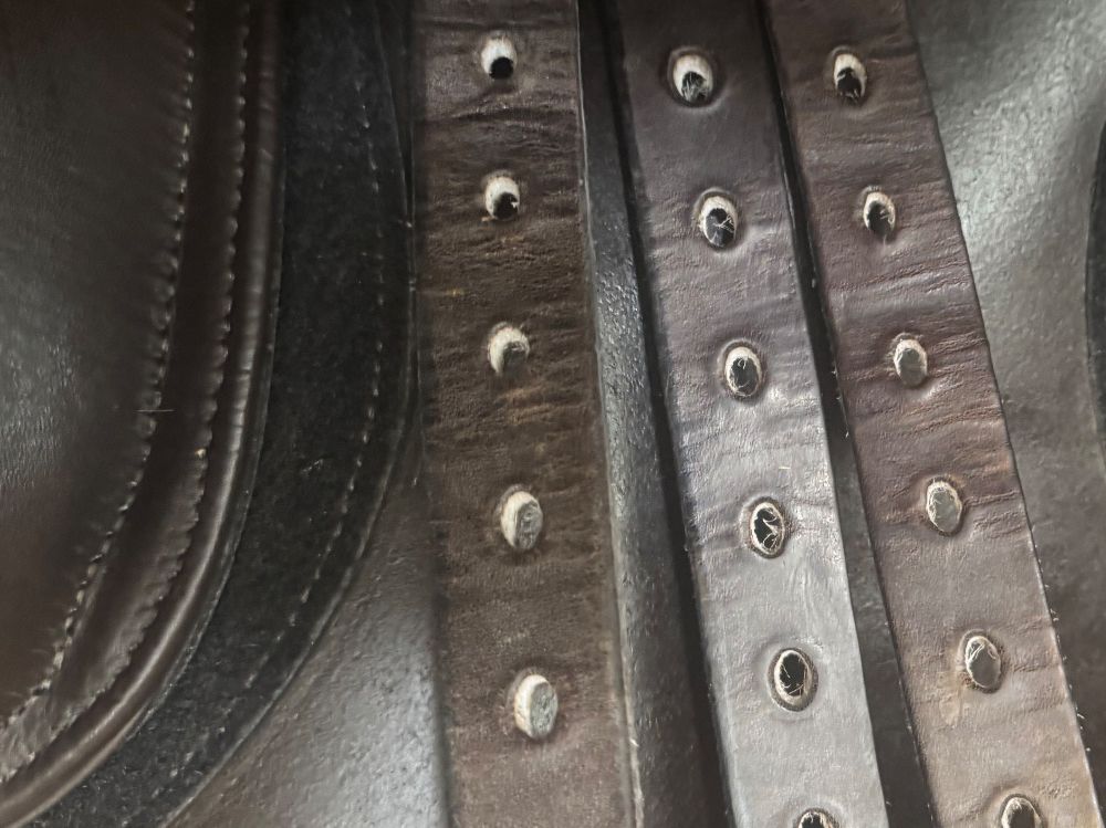 Selle & Accessori: Schleese Remonte VS Sattel 17,5 – Usato da Suberg venduto da BlueSea 5