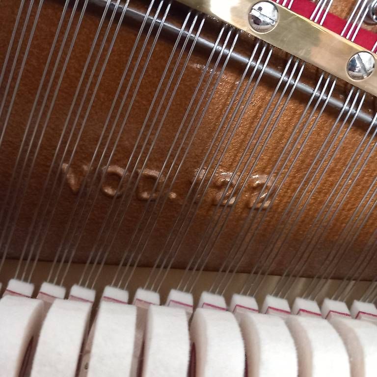 Instruments de musique: Steingraeber & Söhne T122 – D'occasion à Bern par Heutschipiano 1