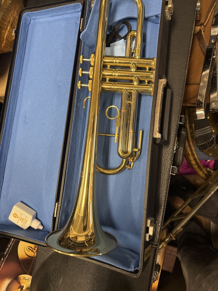 Strumenti musicali: Musica steyr austria  – Usato da Strengelbach venduto da HeidiHeidi09 2