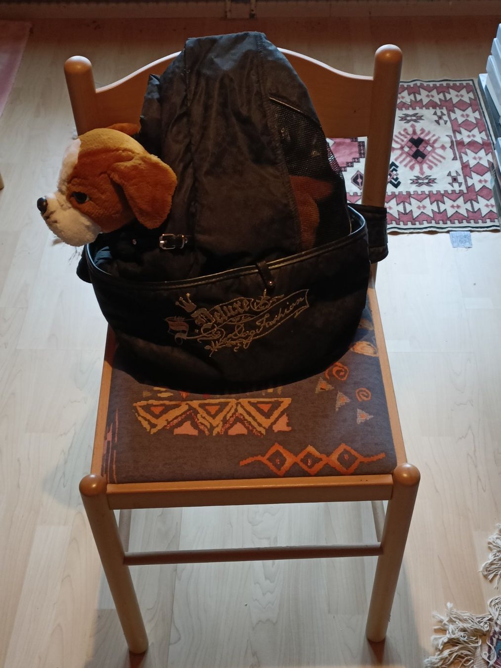 Borse da donna: Hunde Trage Tasche Känguru – Nuovo (secondo la descrizione) da Hausen AG venduto da Topas0