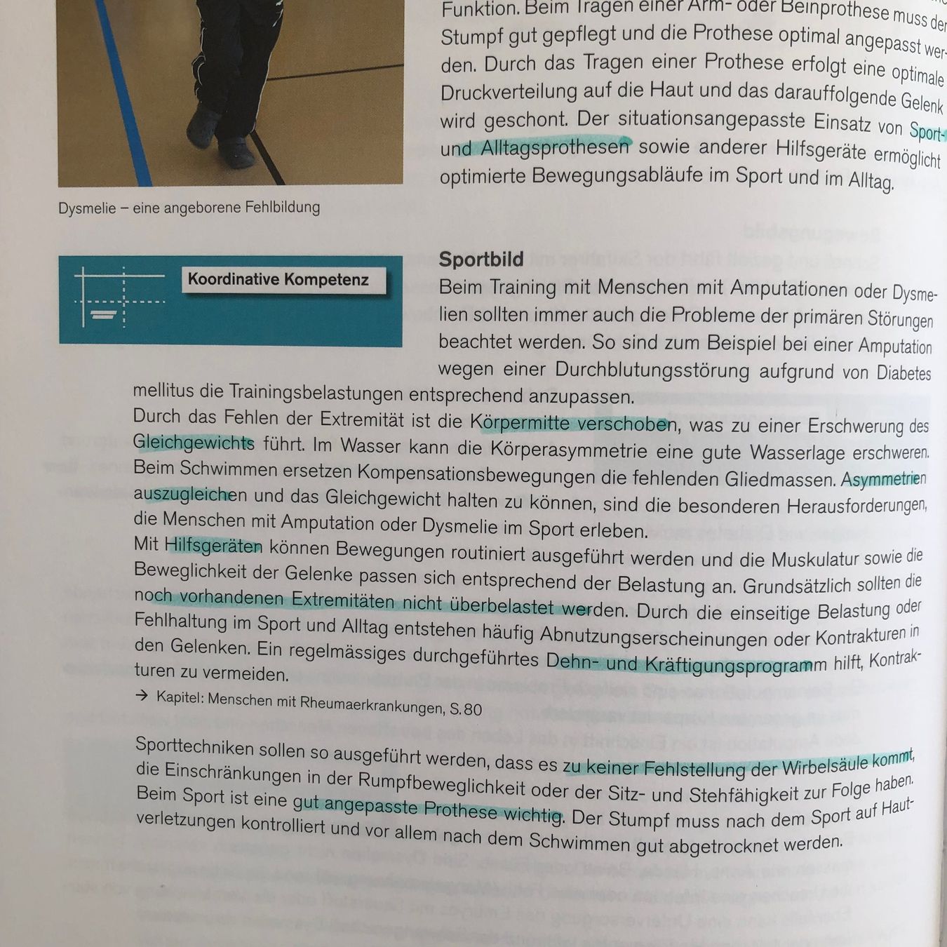 Libri: Sport erst recht – Usato da Zürich venduto da pajgi 2