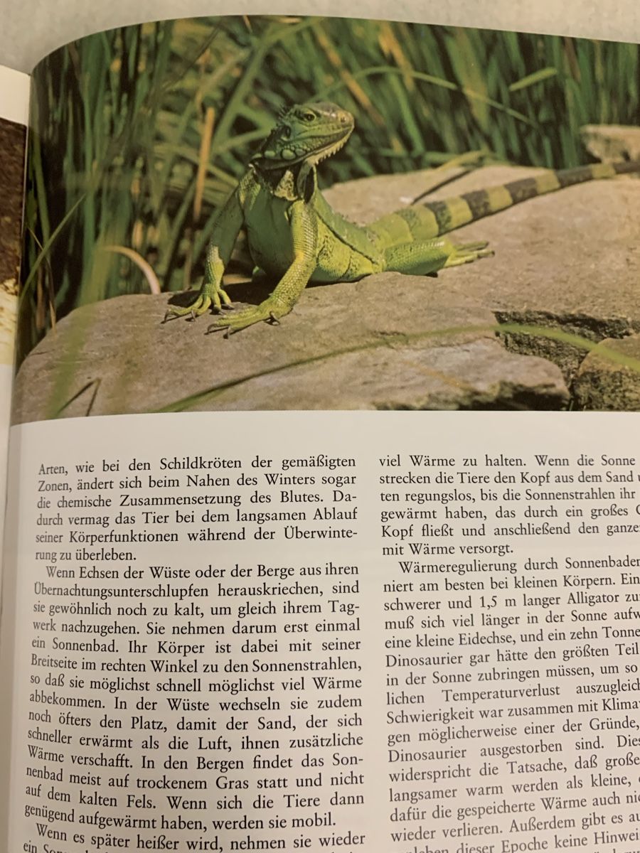 Libri: Tiere in ihrer Welt - Illustriertes Buch – Nuovo (secondo la descrizione) da Erlenbach ZH venduto da Ritschly 7