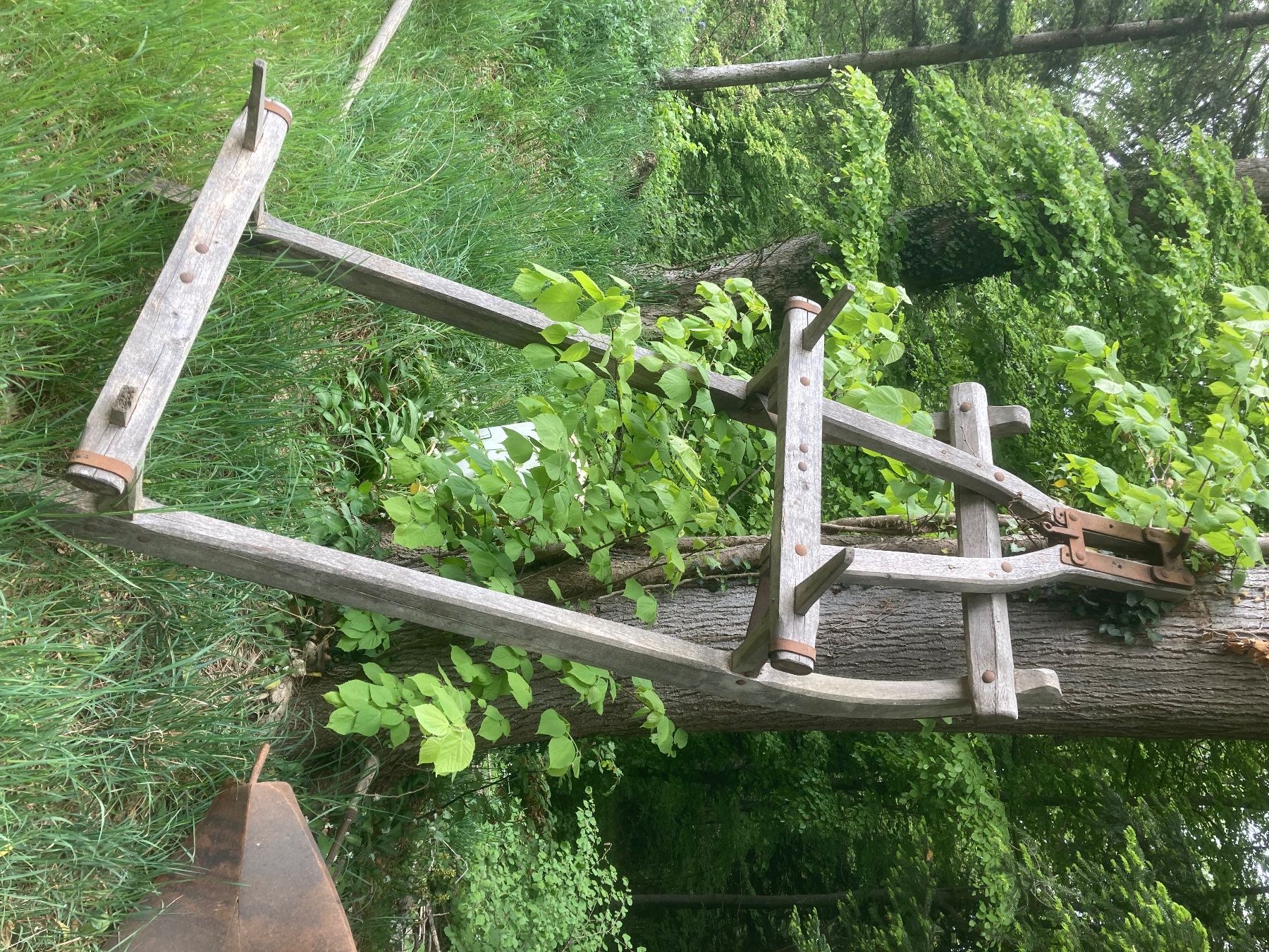 Slitta: Holzschlitten – Usato da Arboldswil venduto da alt_q2wj
