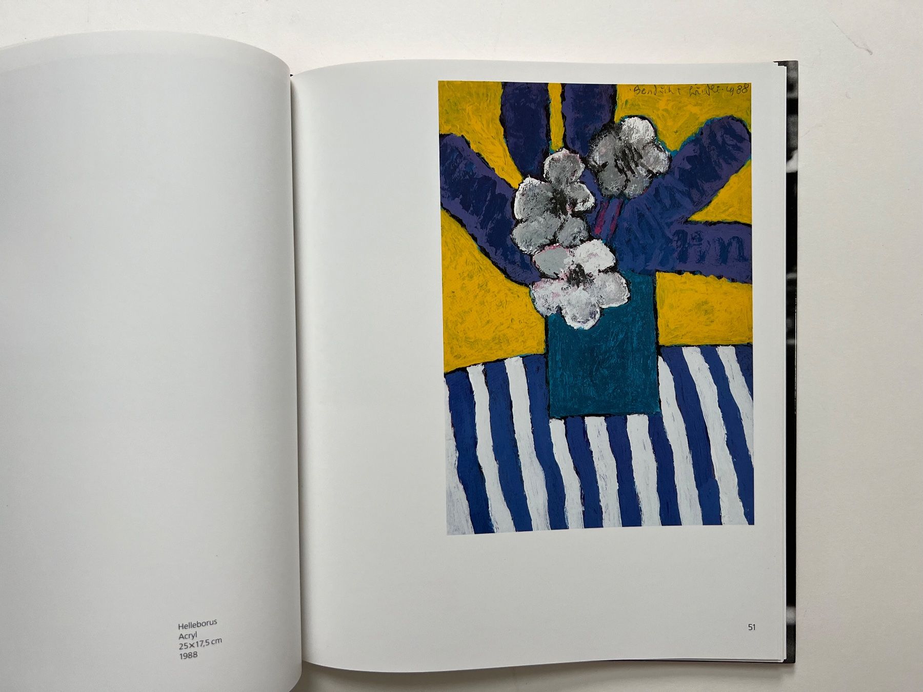 Grafica & Litografie: BUCH: Bendicht Friedli – Usato da Rain venduto da Pic-Ass 7