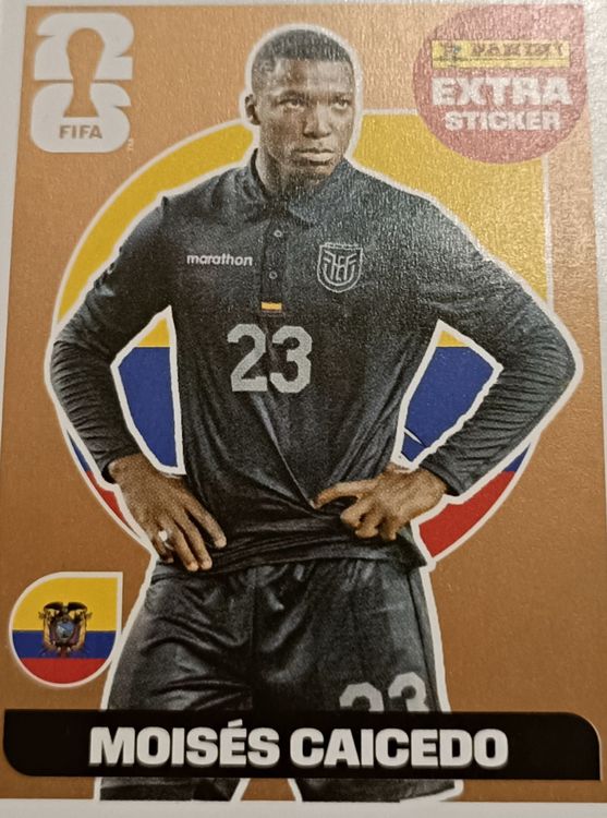 Panini WM 2022 Sticker: Moisés Caicedo Ecuador #23 Extra (Neu (gemäss ...