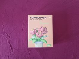 Topfblumen Baustein-Set Pfingstrosen
