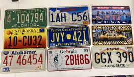 USA Kennzeichen Set: Florida, New York, Hawaii etc.