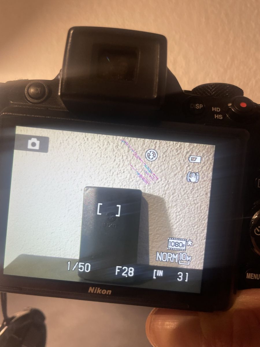 Nikon Fotocamera: Nikon Coolpix P100 Kamera – Usato da Sargans venduto da Didis 6