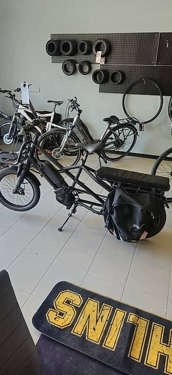 Velos: Gepida Cargo Long Tail – Gebraucht aus Canobbio von fca_jp7n 1