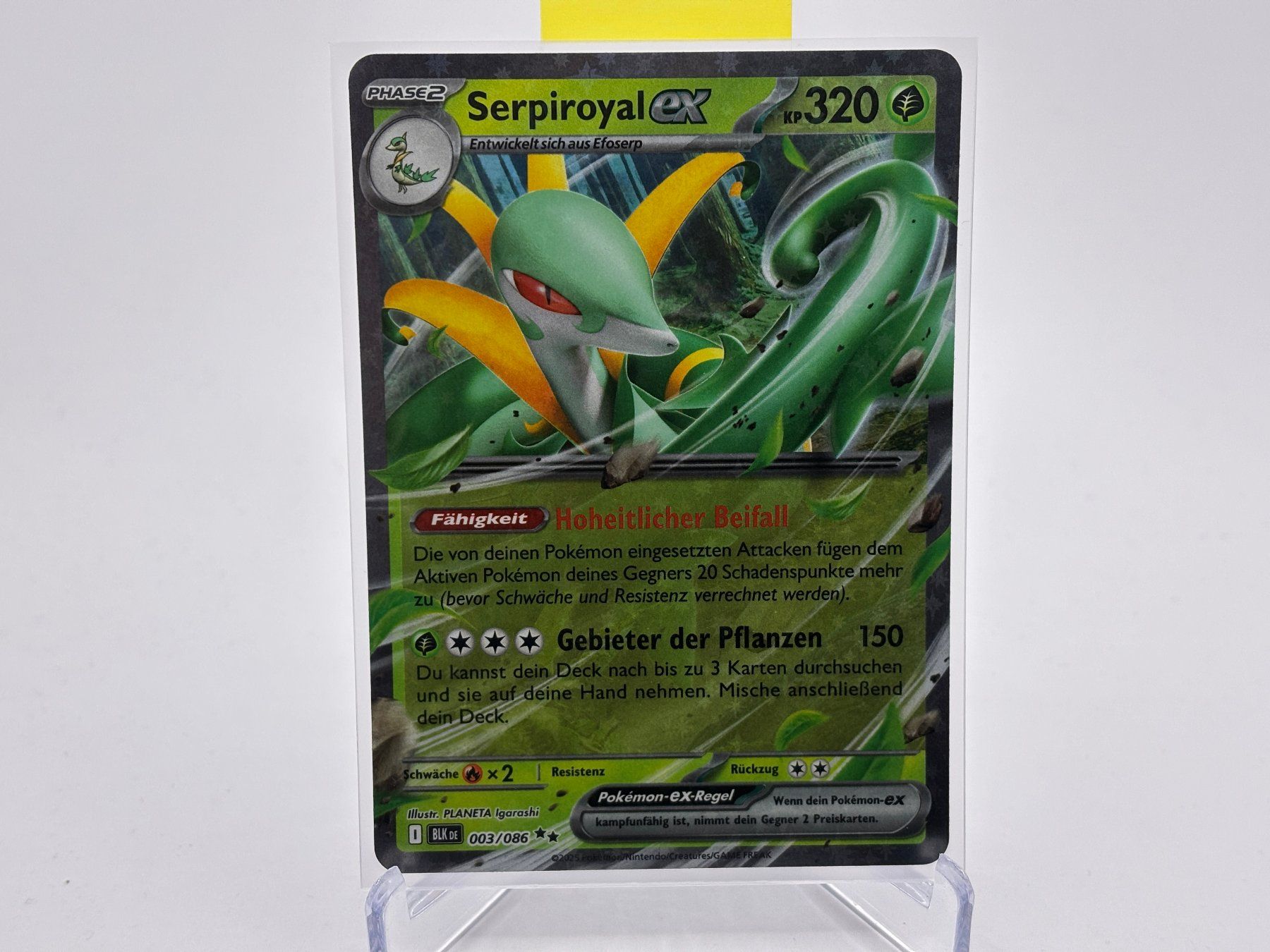 Pokémon Carte collezionabili: Schwarze Blitze - Serpiroyal ex  (BLK 3) - DE – Nuovo (secondo la descrizione) da Allschwil venduto da Bullach