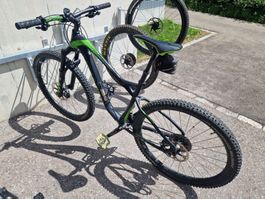 Gut erhaltenes MTB, Grösse 19", DT Swiss inkl. 2. Radsatz