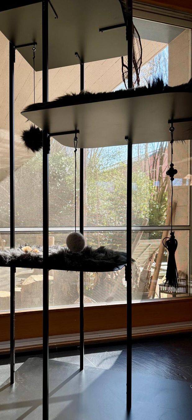 Katzenbaum - Kratzbaum: Designer-Katzenbaum – Gebraucht aus Cham von Bashhh 1