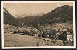 Stein /Toggenburg, Ortspartie im Gebirge