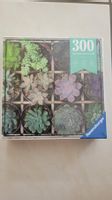 Ravensburger Puzzle 300