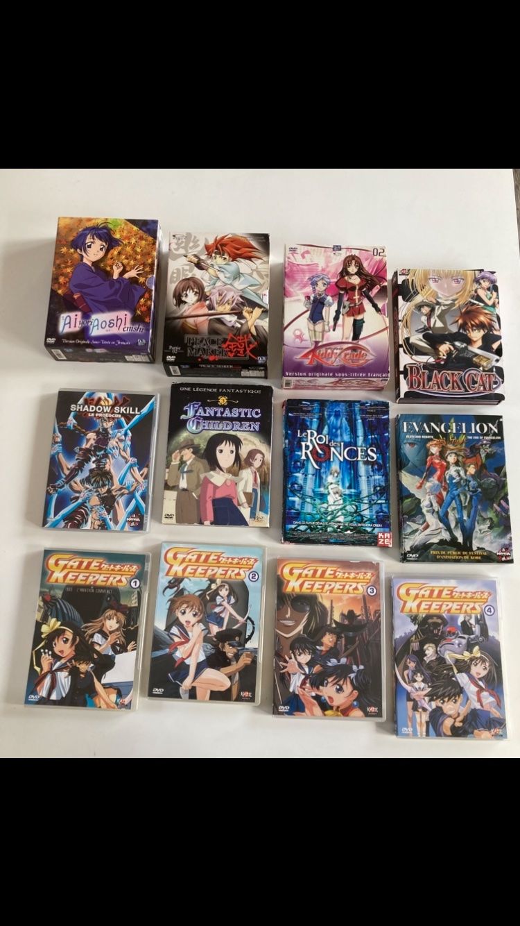 Tutti i DVDs: Lot de DVD Animes/Manga – Usato da Bassecourt venduto da CALUMET-X