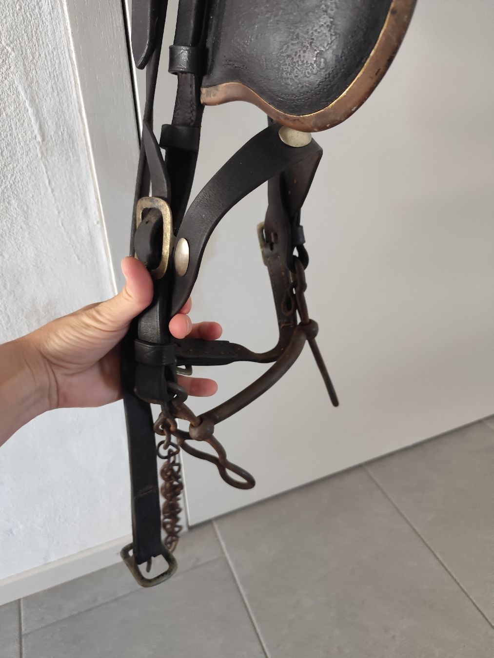 Briglie & Cavezze: Fahrzaum Leder  – Usato da Kerzers venduto da sb_12 3
