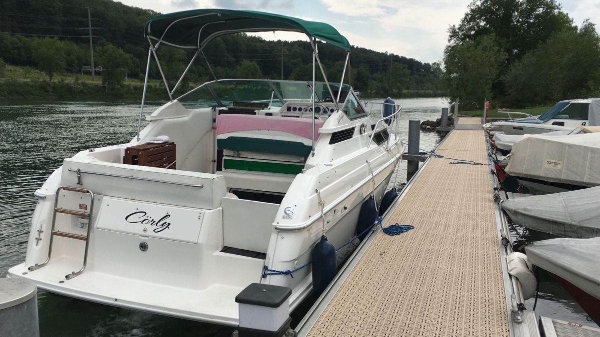 Wellcraft Barche: Wellcraft 2700 Martinique – Usato da recherswil venduto da Aloa1301 3
