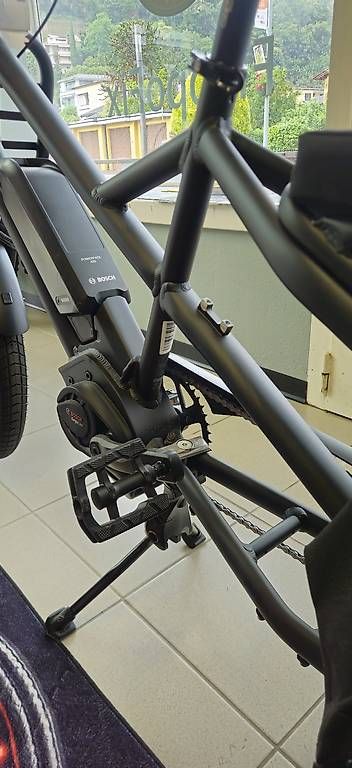 Vélos: Gepida Cargo PROMO – D'occasion à Canobbio par fca_jp7n 2