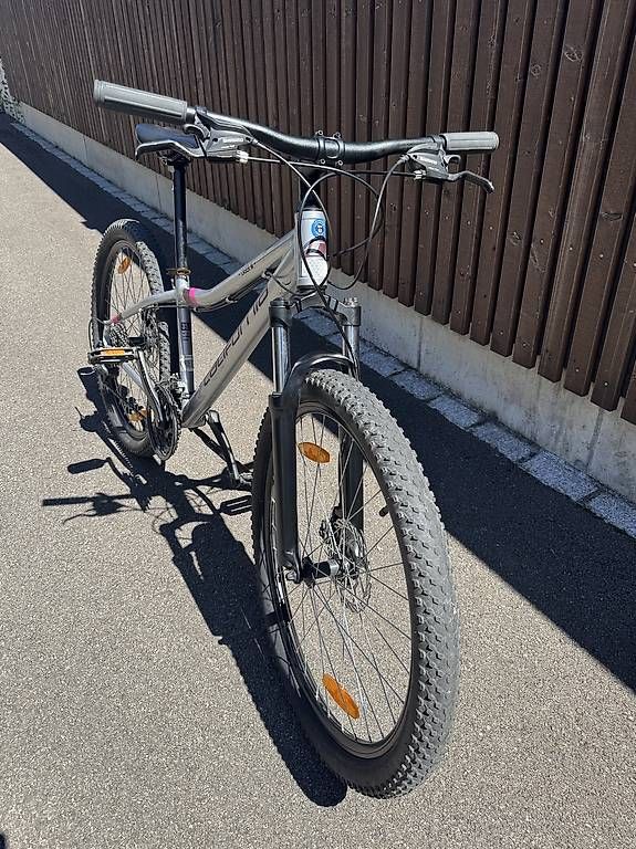 Biciclette: Velo MTB California – Usato da Birmenstorf AG venduto da rome02 1