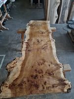 Große Maser-Pappel-Platte 207 cm Massivholz Klotzbretter XXL