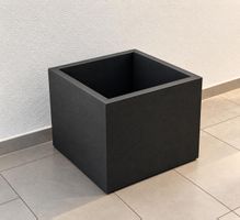Palmentopf Neupreis 100 CHF