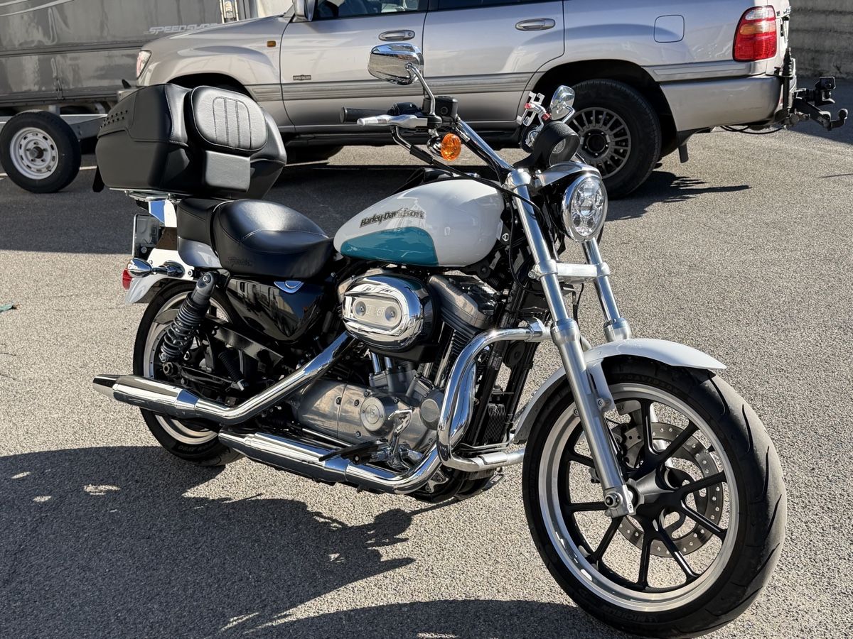 Harley-Davidson Chopper: Harley Davidson 883 2015 – Usato da Grand-Lancy venduto da Jojo6466 1
