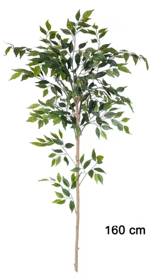 Piante & sementi: Ficus Baum künstlich 3 Stk – Nuovo (secondo la descrizione) da Emmenbrücke venduto da Housestone 2
