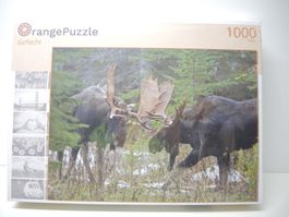 Orange 21 Gefecht 1000