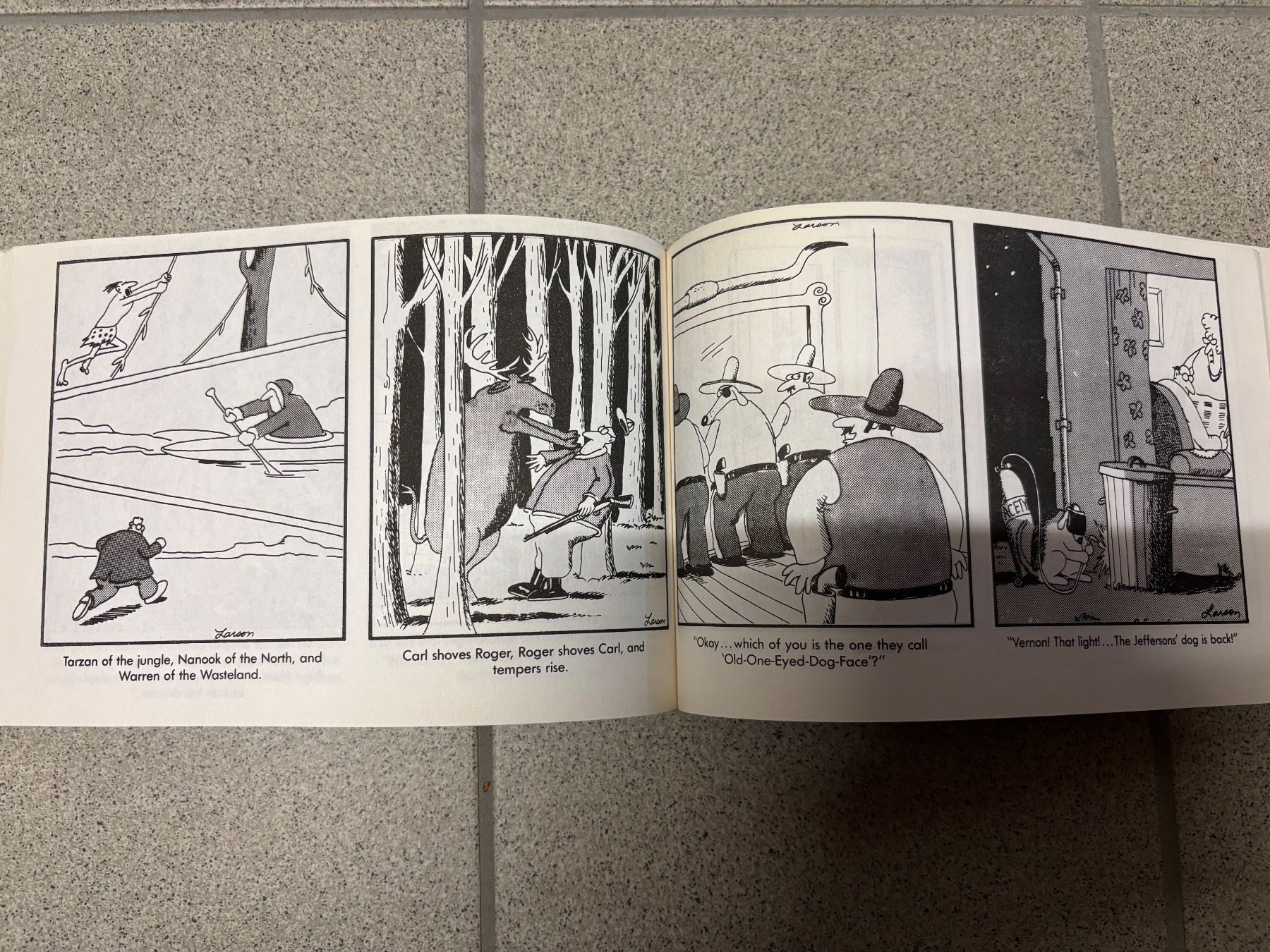 Fumetti: Gary Larson, 3 Bücher Englisch – Usato da Glis venduto da Lisal 1