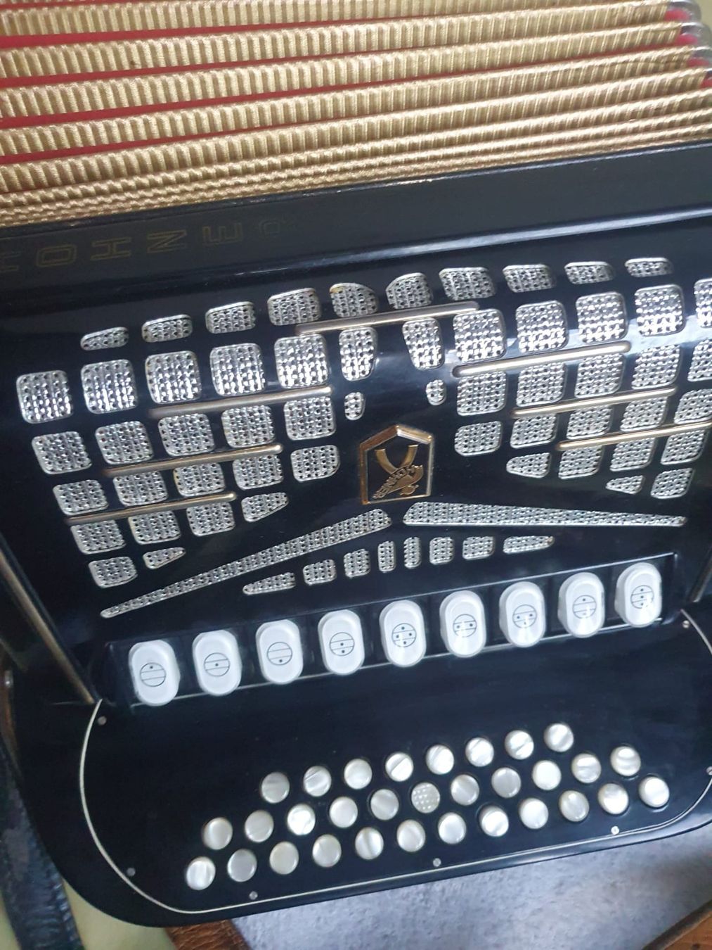 Instruments de musique: Hohner Norma IV De Luxe inkl. Koffer – D'occasion à Basel par FirstClass4000 4