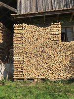 Brennholz Esche