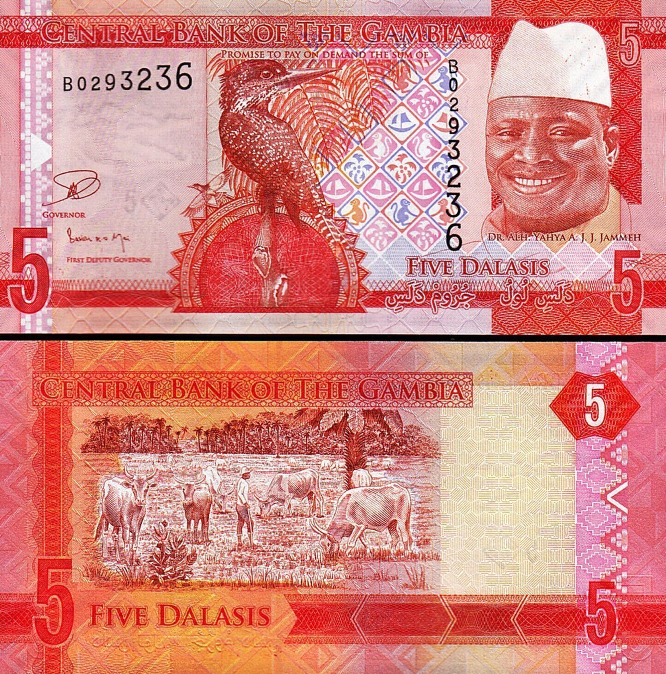 Banknoten: Gambia 5 Dalasis 2015 UNZ P-31 – Neu (gemäss Beschreibung) aus Steffisburg von ber_8htf
