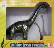 Dinosaurier Large Skin 'n Bones Dinosaur Dino Brachio Saurus
