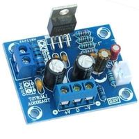 Audio-Verstärker Audio 20W Mono Bausatz