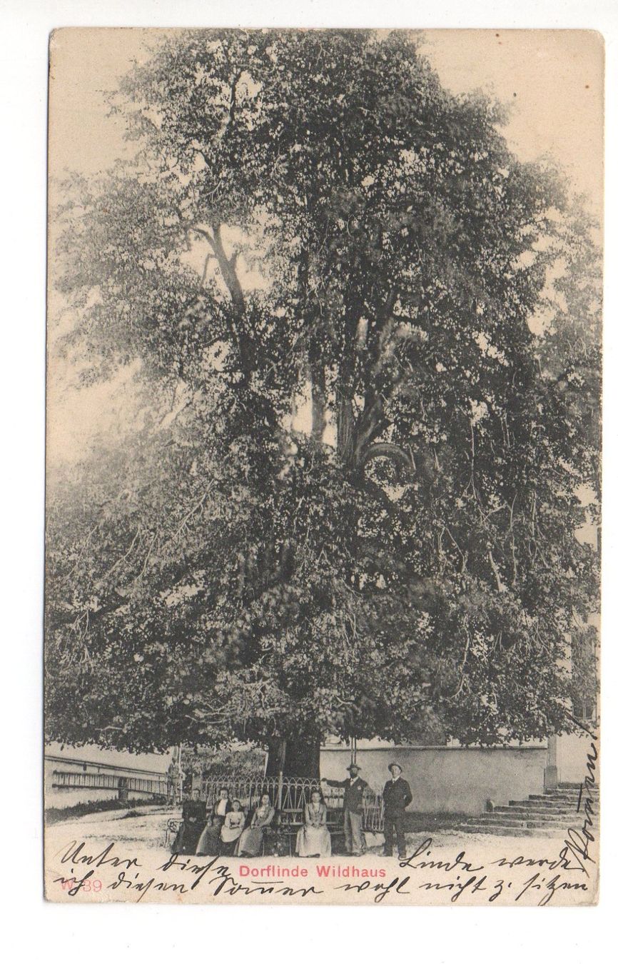 Cartes postales: WILDHAUS Dorflinde – D'occasion à Jona par philajona