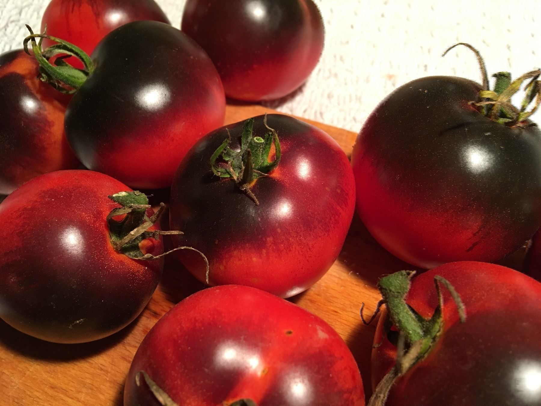 Piante & sementi: 100 Samen Tomate AMERICAN BLUE – Nuovo (secondo la descrizione) da Ehrendingen venduto da VerveinaSamen 5