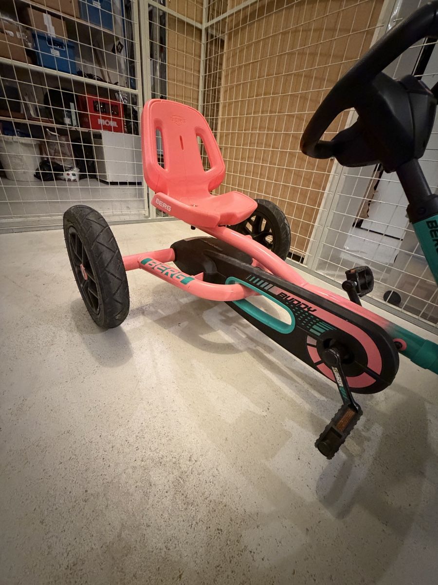 Fahrzeuge für Kinder: BERG Buddy Gokart  – Gebraucht aus Kaltbrunn von san_5rc7 2