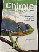 Livre Chimie de base et avancée Rebstein Soerensen occasion
