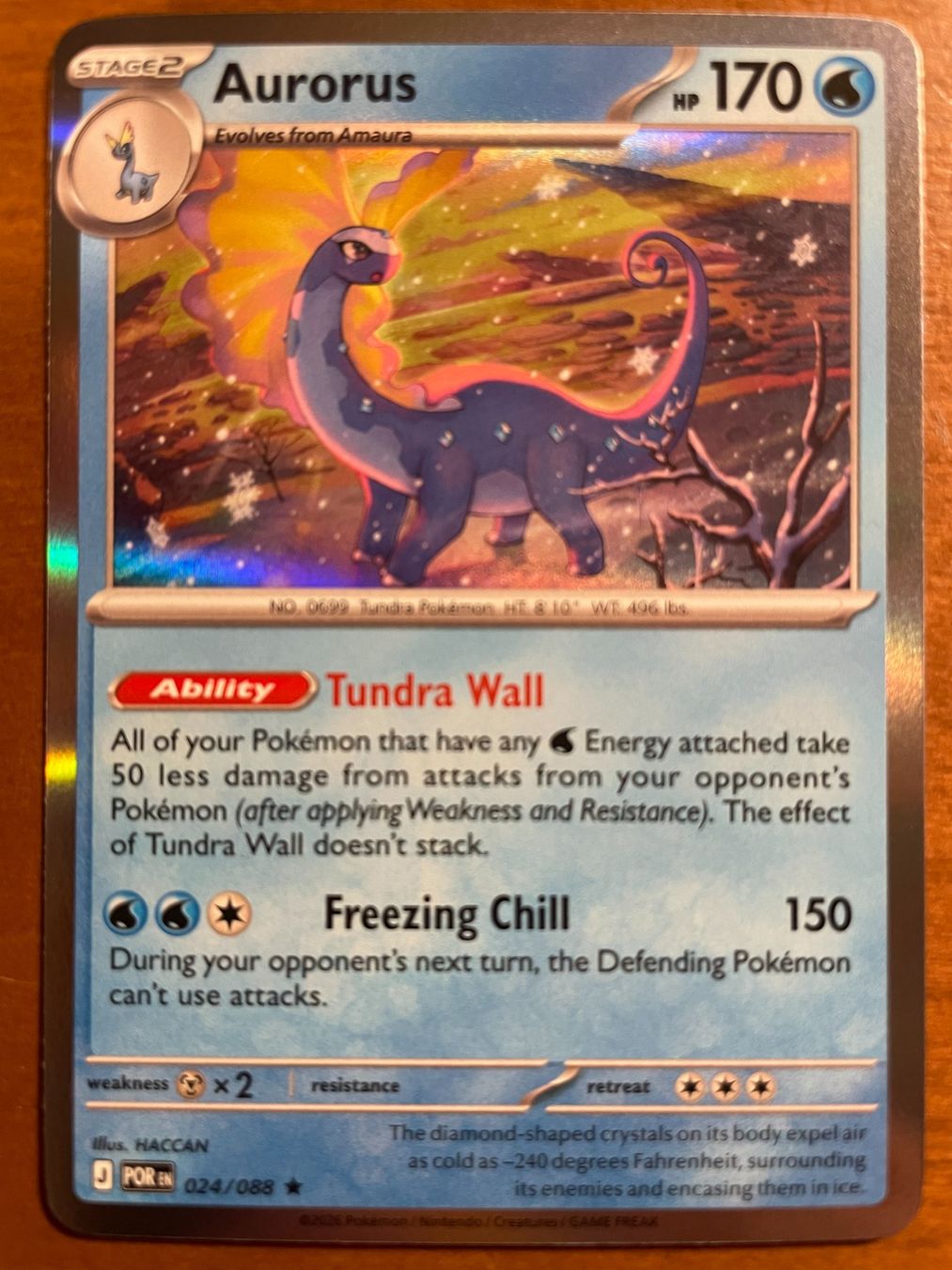 Pokémon Carte collezionabili: Pokemon Aurorus Holo (Versand gratis) – Nuovo (secondo la descrizione) da Chur venduto da Angerson
