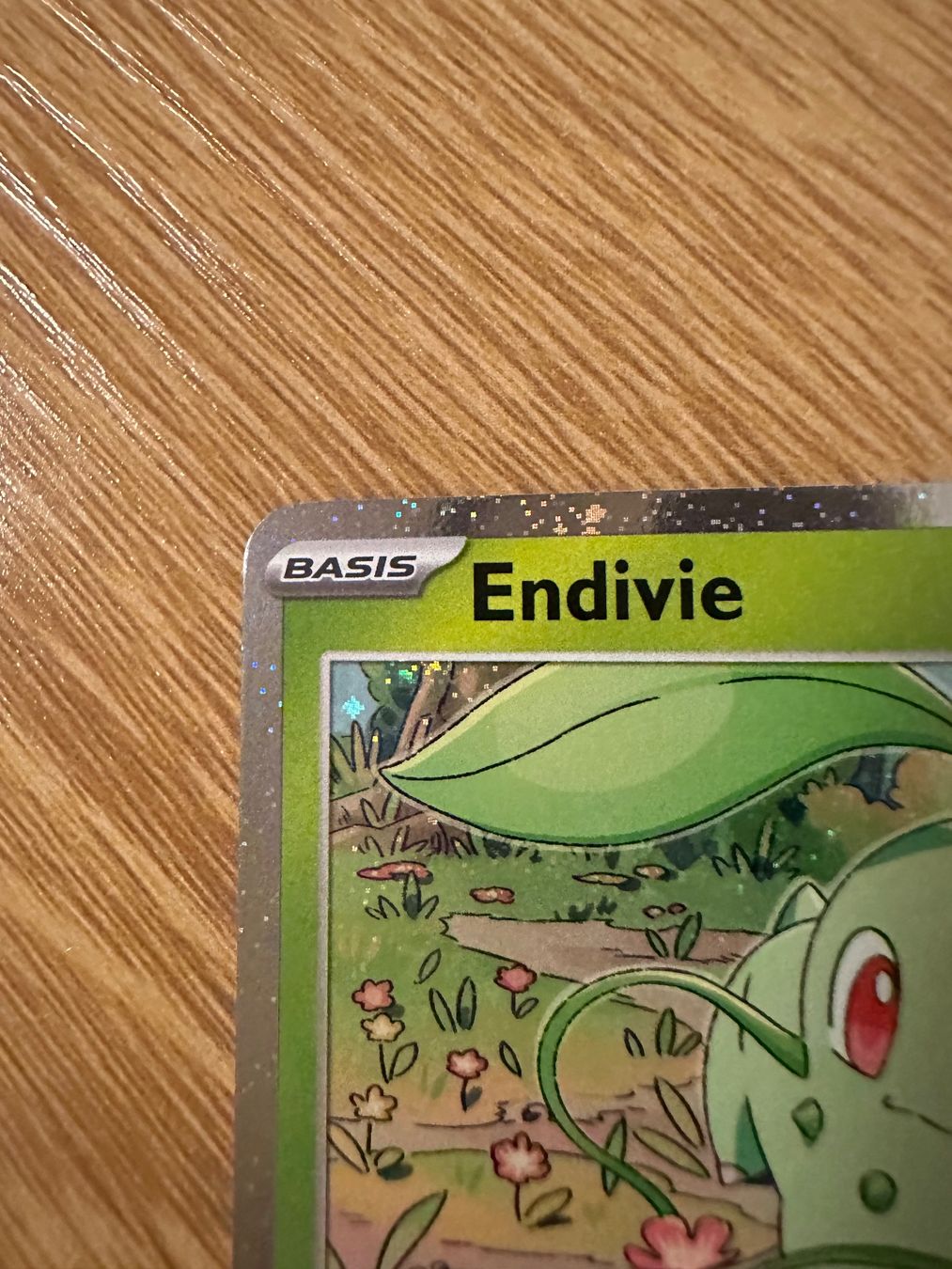 Pokémon Carte collezionabili: Endivie #008/217 NM Deutsch Reverse-Holo – Nuovo (secondo la descrizione) da Winterthur venduto da sah_gn89 1