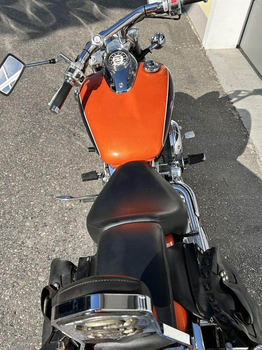 Yamaha Chopper: Yamaha XVS 650  Drag Star – Gebraucht aus Rorschach von Scout 5
