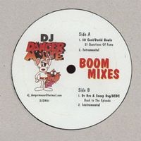DJ Danger Mouse* – Boom Mixes