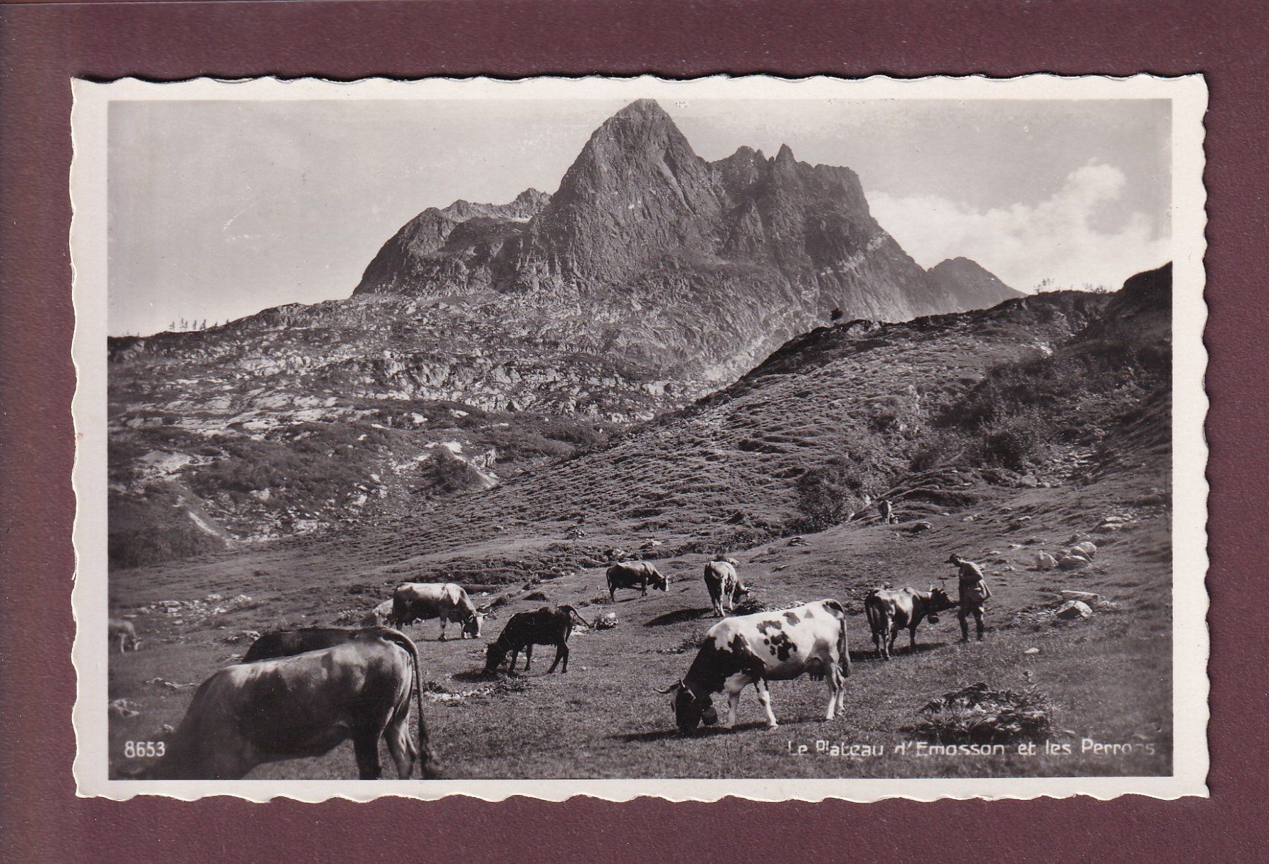 Cartes postales: Plateau d'EMOSSON - Vaches - Les Perrons - 1941 – D'occasion à Pully par nicecards