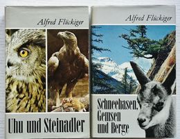 Steinadler, Uhu, Schneehasen & Gemsen in den Alpen