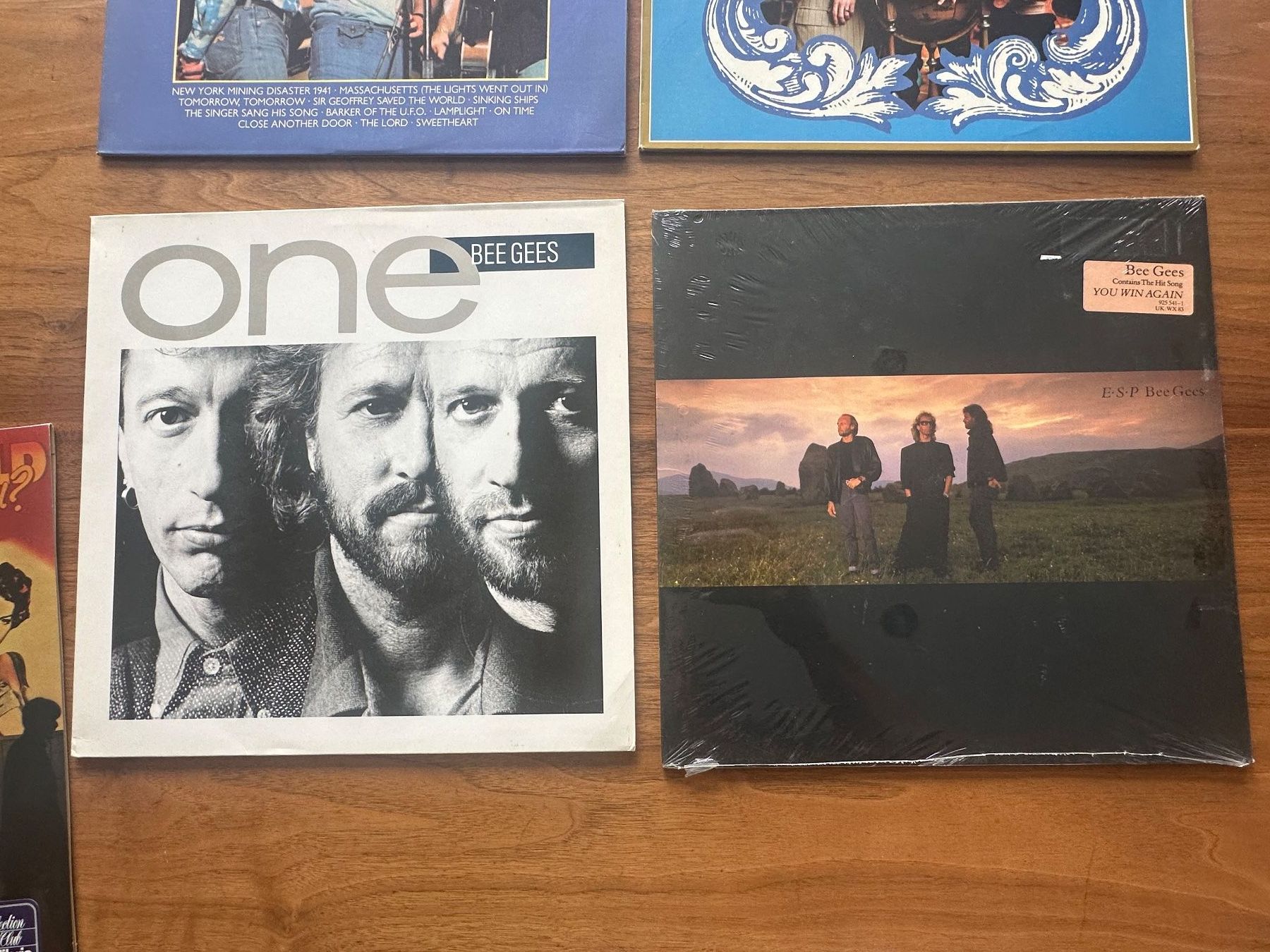 Dischi in vinile: 4 LP: Bee Gees und 1 LP Robin Gibb – Usato da Amriswil venduto da Valk1 2